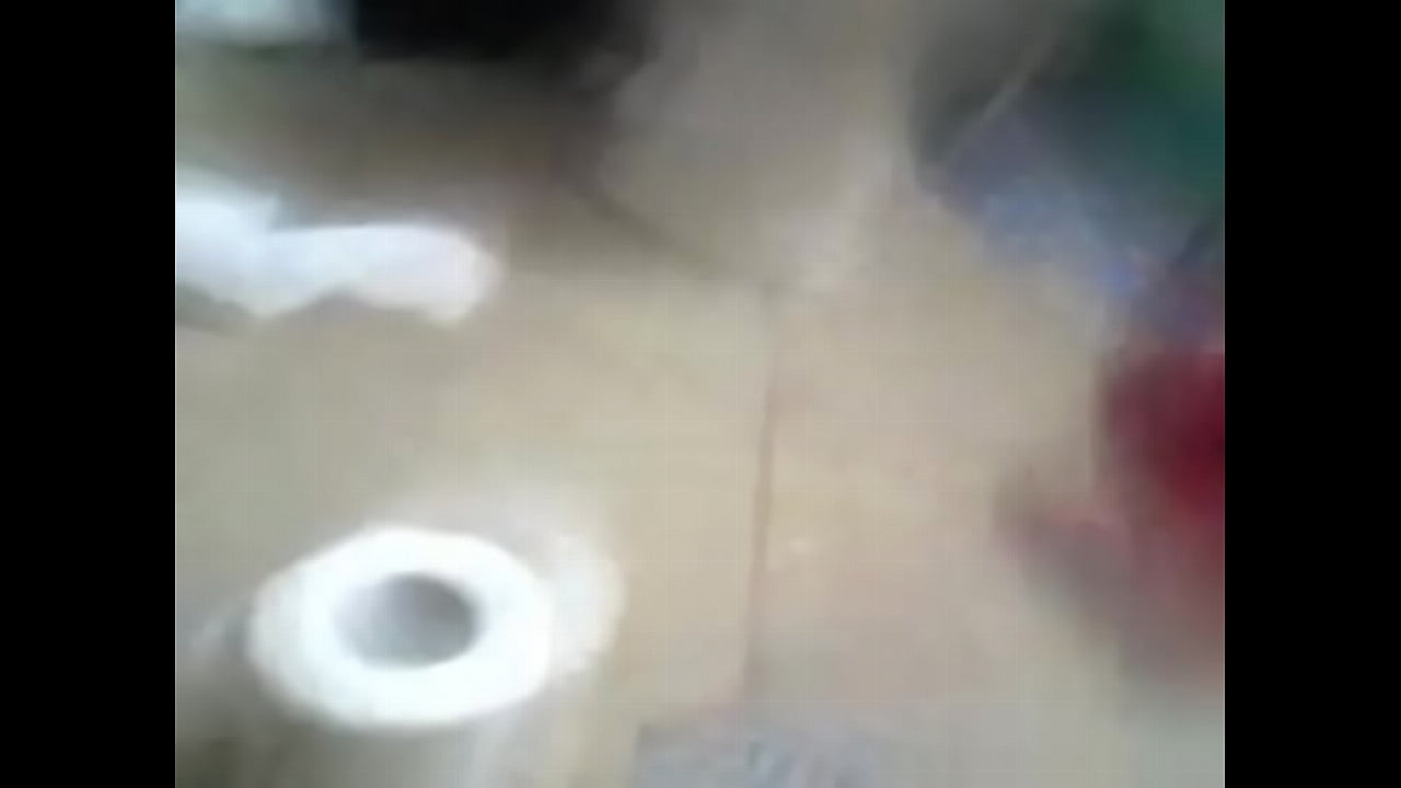 Perrita de Nayarit 3