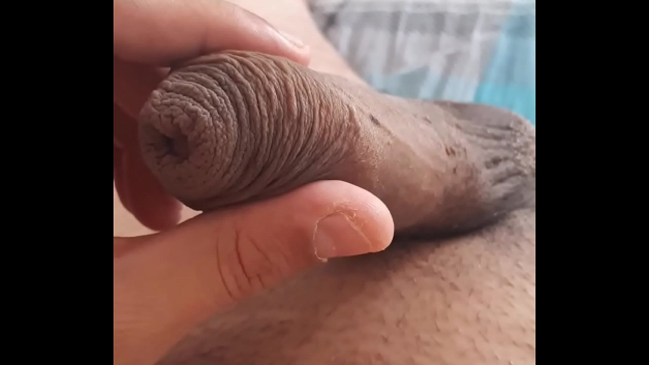 &Kappa;&alpha;&lambda;&omicron;&kappa;&alpha;&iota;&rho;&iota;&nu;&epsilon;&sigmaf; &Alpha;&nu;&eta;&sigma;&upsilon;&chi;&iota;&epsilon;&sigmaf;