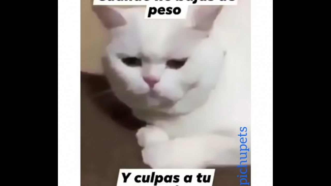 Venezolana gime y pide m&aacute;s