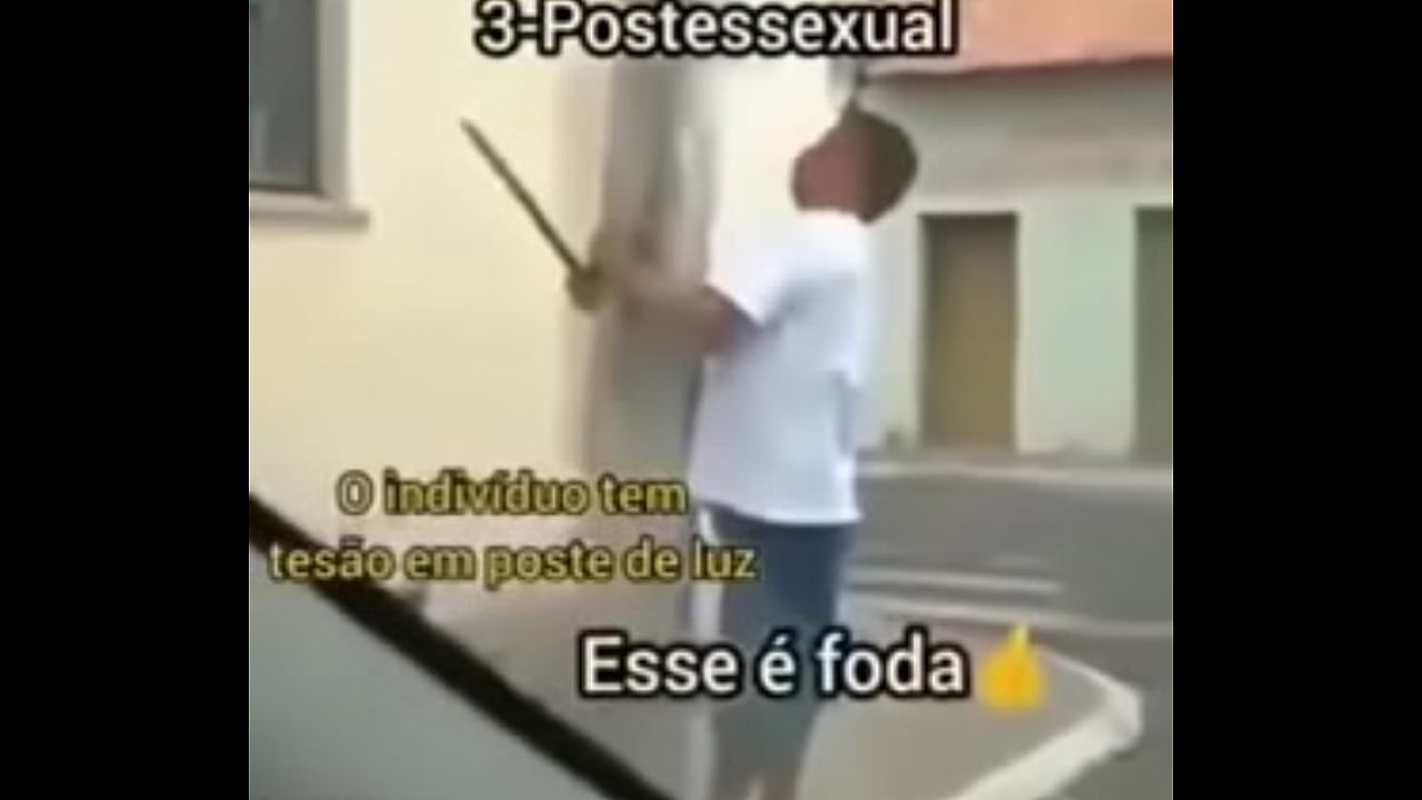 Shitpost compilation ( in Spanish )