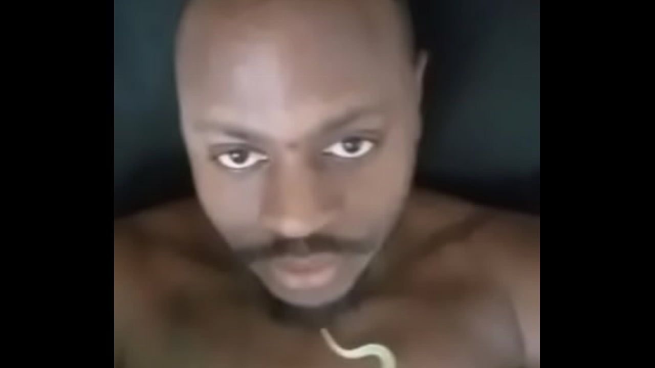 Other colors these scorpio zodiac animals show up in 2