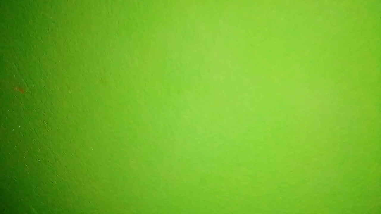 Bangla hotel room sex