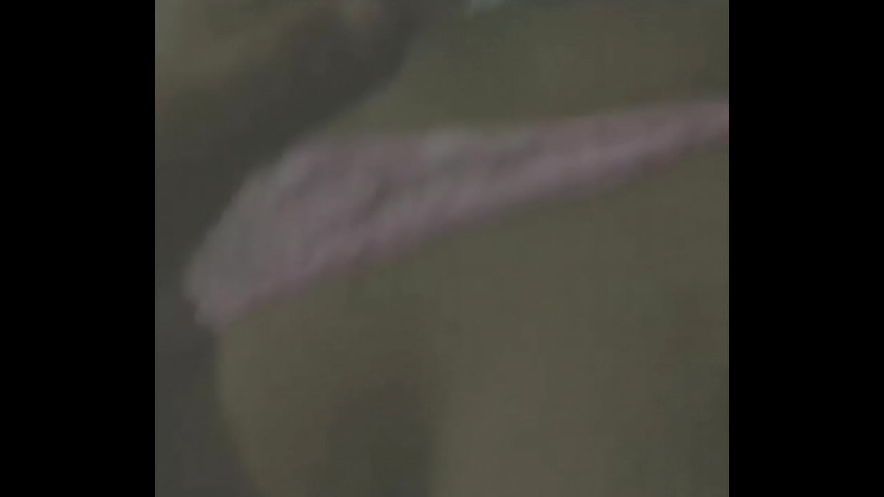 Novinha del&iacute;cia d.