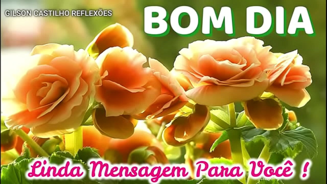 Deos vai abemsua geral