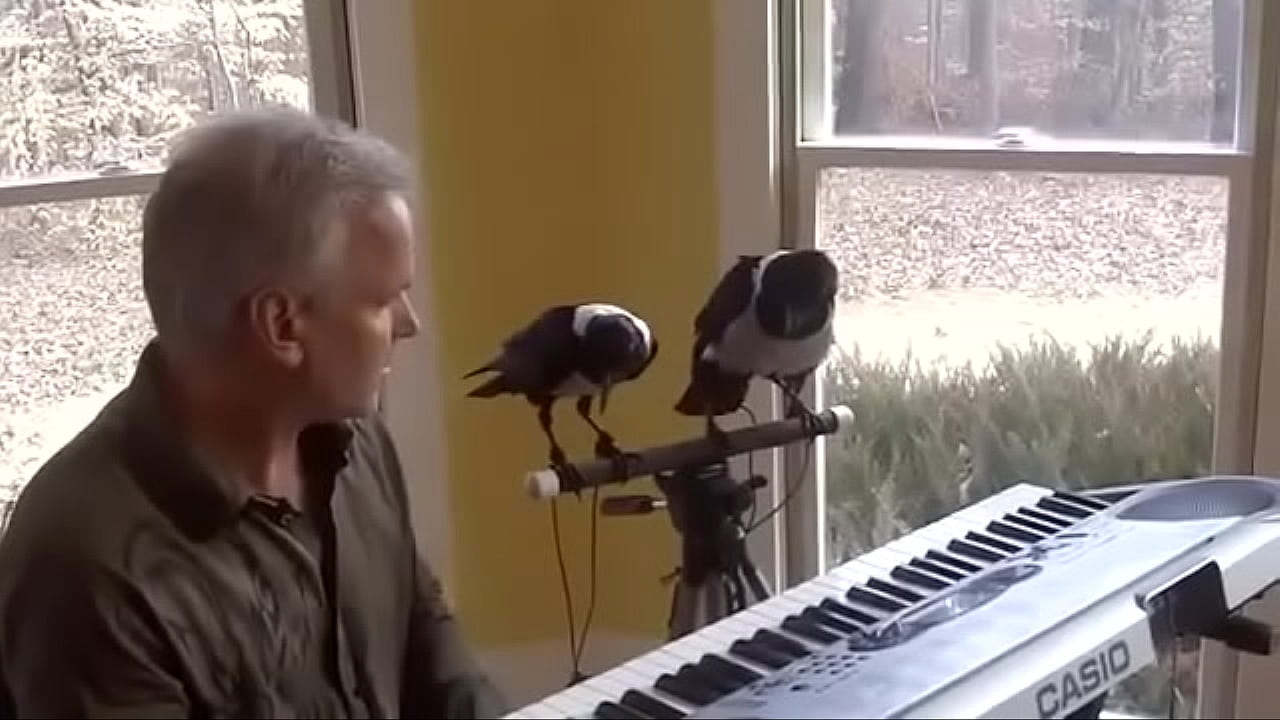 &ETH;&rsquo;&ETH;&frac34;&Ntilde;&euro;&ETH;&frac34;&ETH;&frac12;&Ntilde;&lsaquo; &ETH;&frac34;&ETH;&plusmn;&Ntilde;&lsaquo;&ETH;&ordm;&ETH;&frac12;&ETH;&frac34;&ETH;&sup2;&ETH;&micro;&ETH;&frac12;&ETH;&frac12;&Ntilde;&lsaquo;&ETH;&micro;