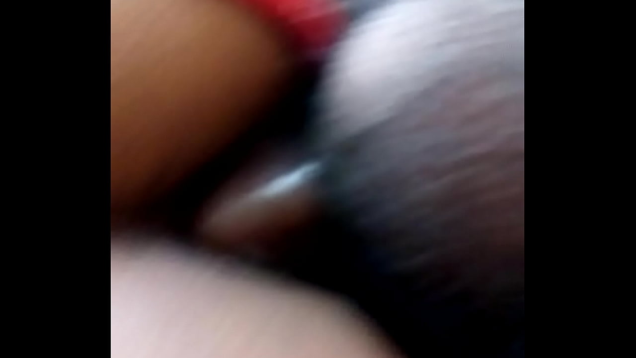 Otra vez en el sur con nefer