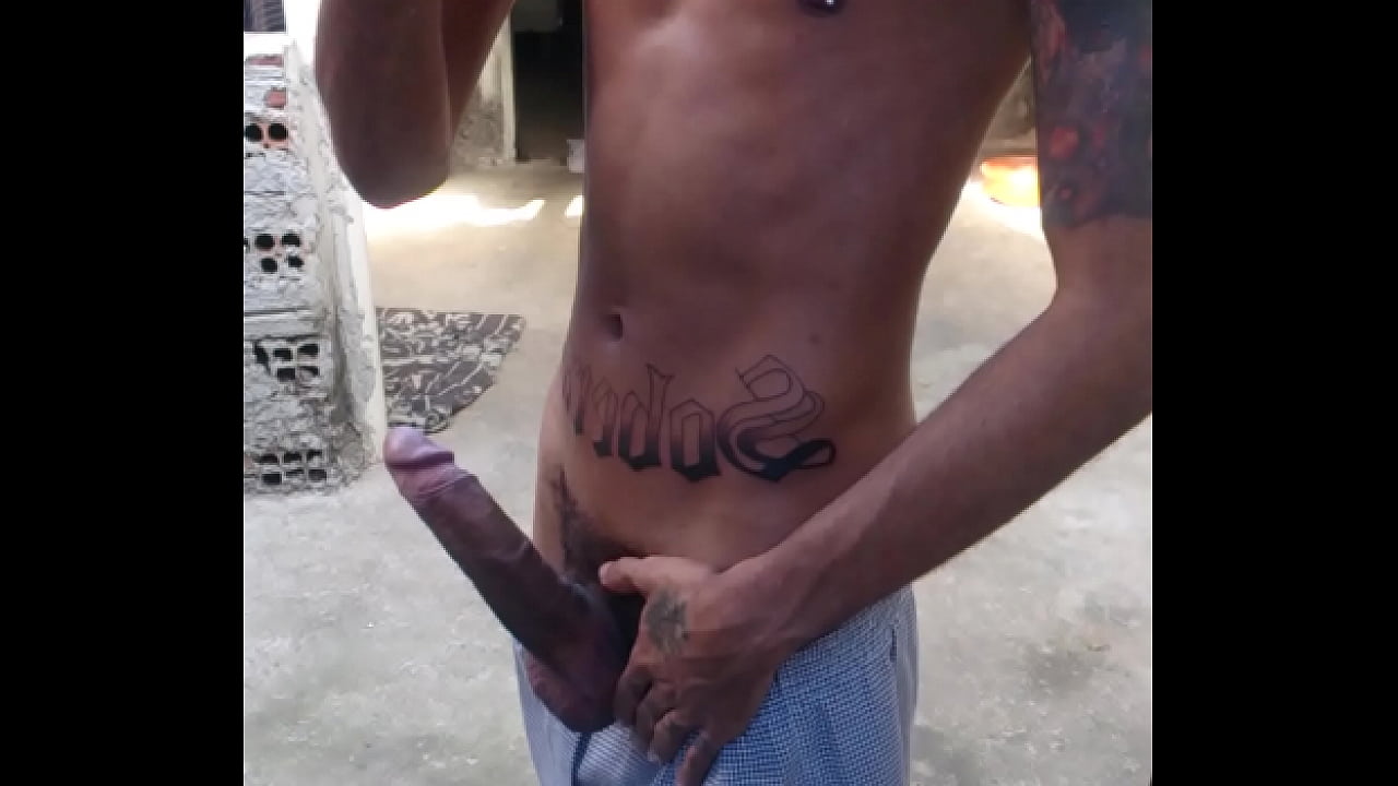 Ale s   pauzudo de campinas sp