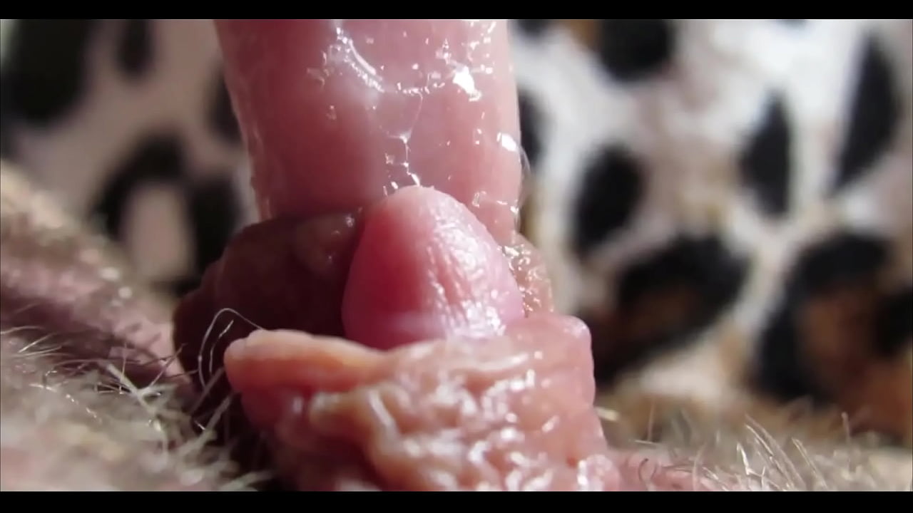 pussy orgasm