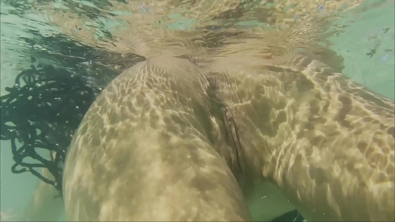 Monika Fox Swims Naked In Atlantic Ocean & Pees On Beach (Free)