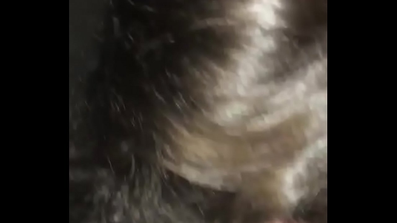 Chubby whore sucks cock