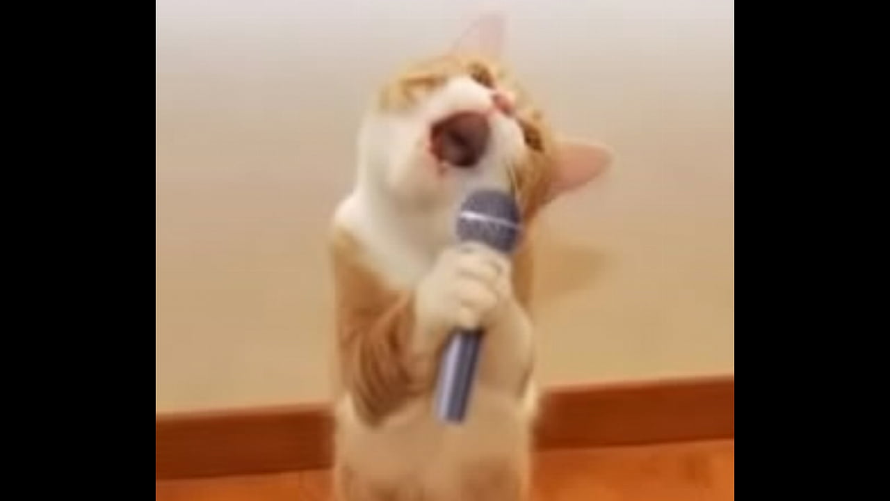 Metendo no aluno da smart parte 1