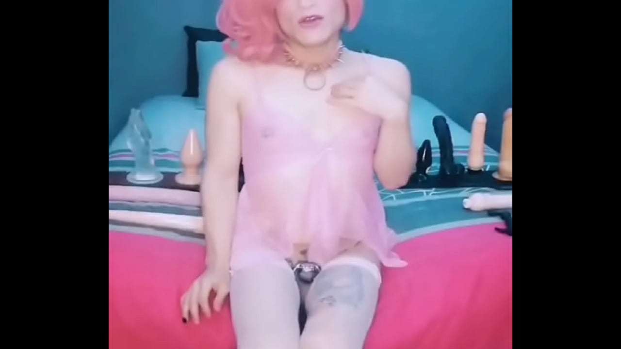 One more Brainwashed sissy slut ?
