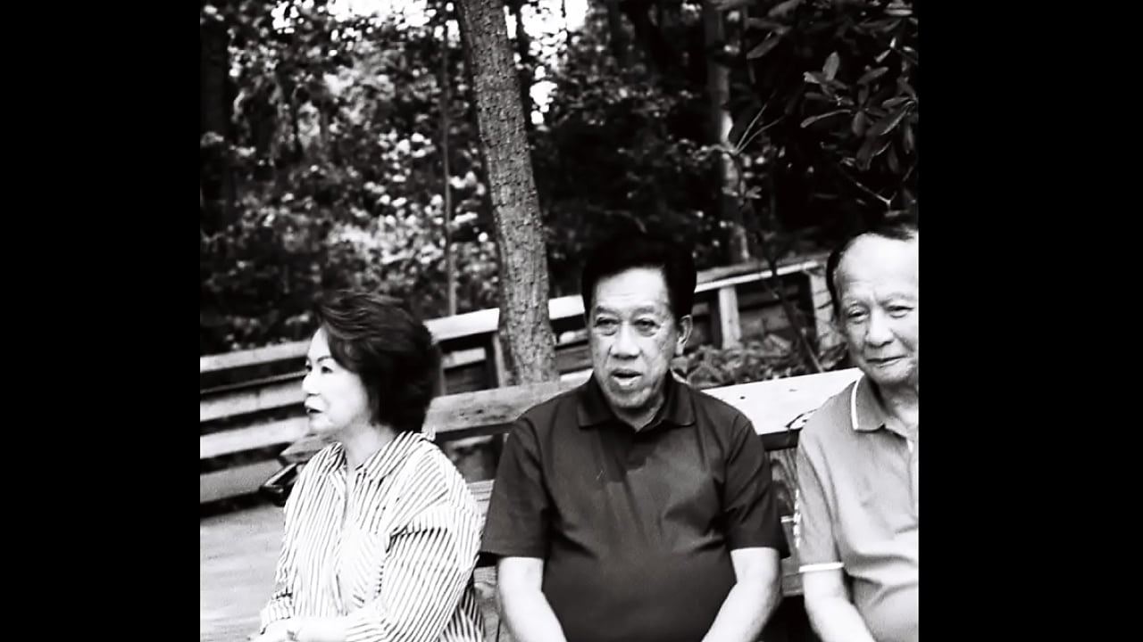 Sick and twisted Turtle Bay