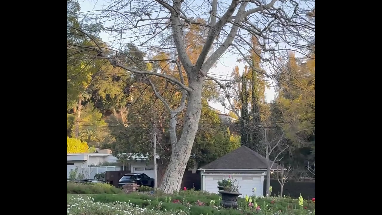 The FREE SFW version of my FIRST ever pornlog