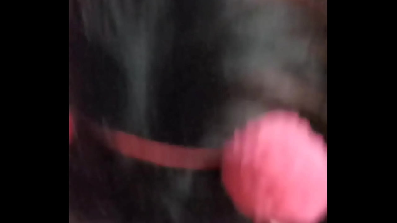 my girl is very sexy i love your pussy from new york