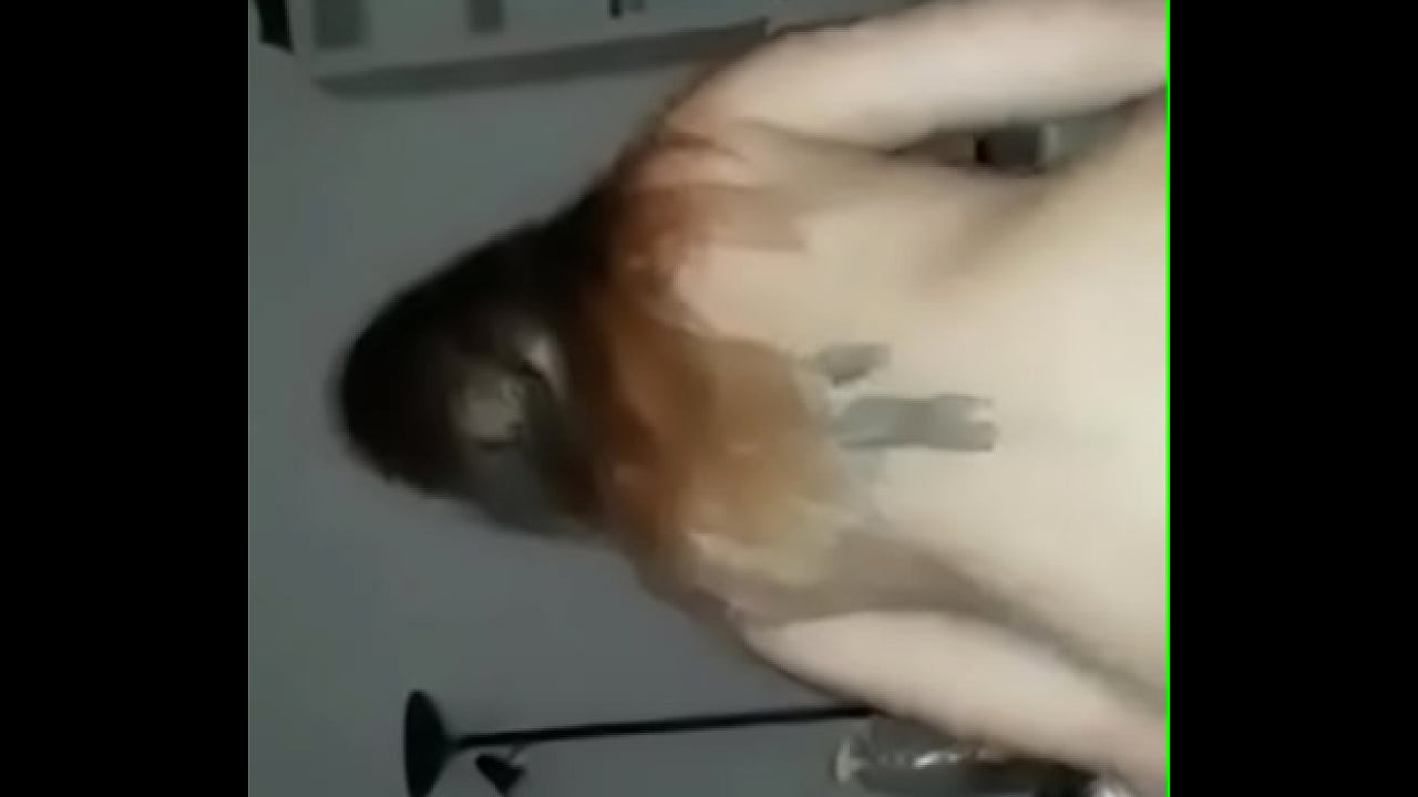 comendo a minha cunhada safada