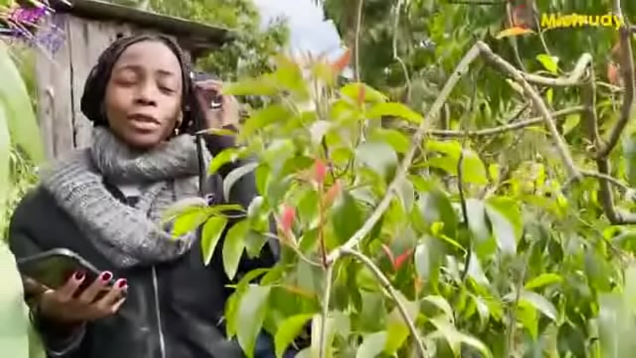 Mental television-Miss Trudy