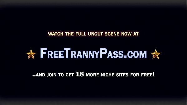 Big Titted Shemales Are Going Wild