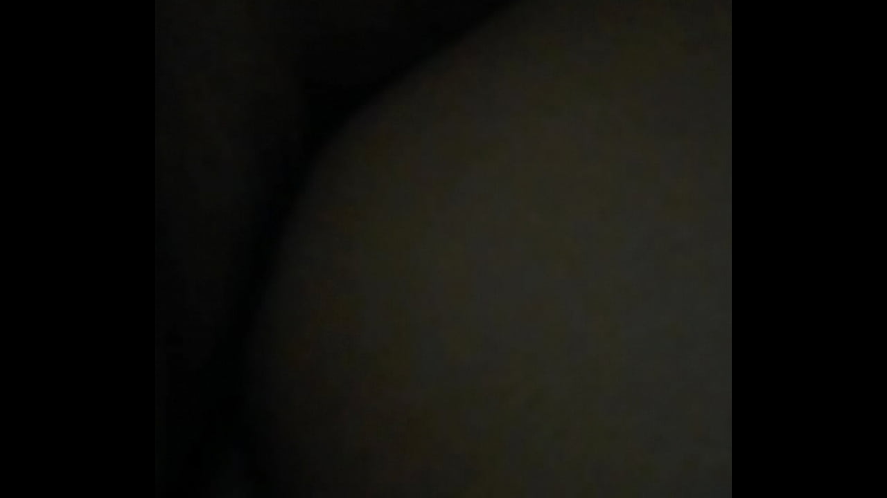 D&aacute;ndole de perrito