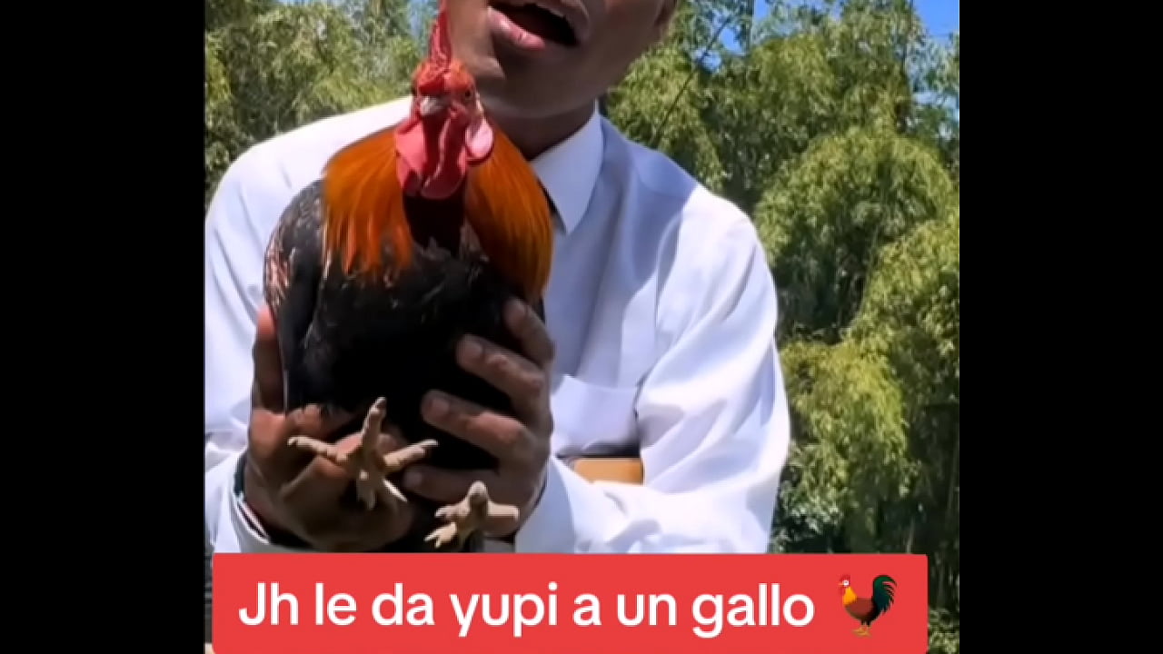 Audio: Jh Detona a Gallina con bendici&oacute;n