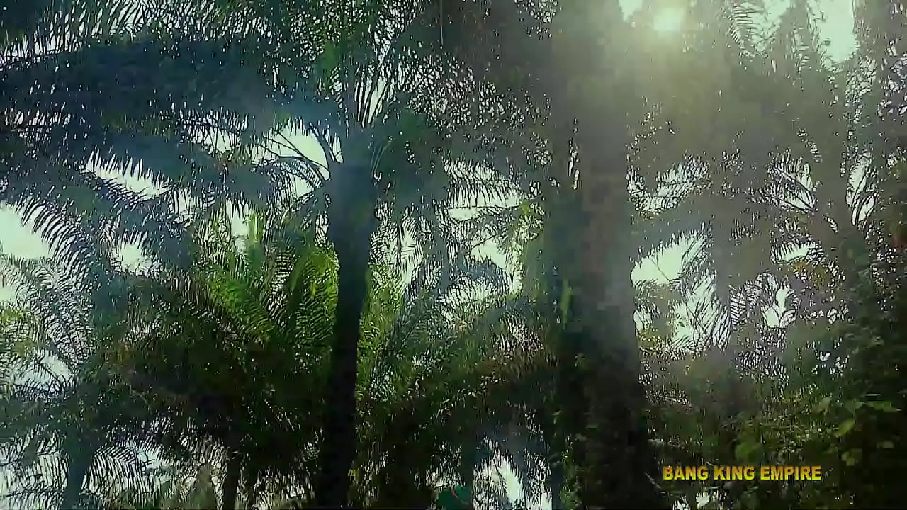 -Mature bbw king's wife insisted that i must fucked her in the bush