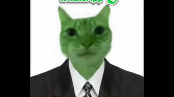 Hay un gato verde y arriba dice WhatsApp osea la cosa mas &eacute;pica del mundo 