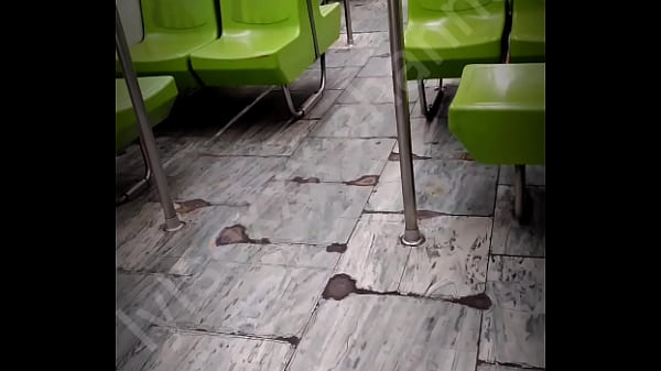 Zorrita muy rica es follada en el metro de cdmx