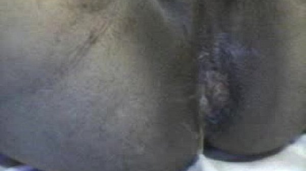 Webcam 11-11-11 09-11-05