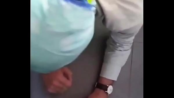 DOG PLAY EATING PIZZA  