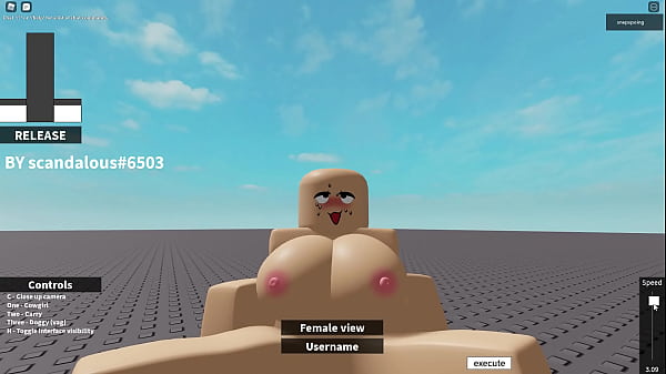 Roblox porn script  