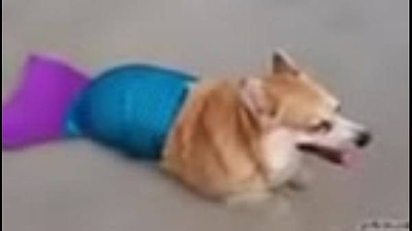 Duda transex vit&oacute;ria