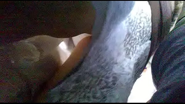 upskirts pte llacolen  