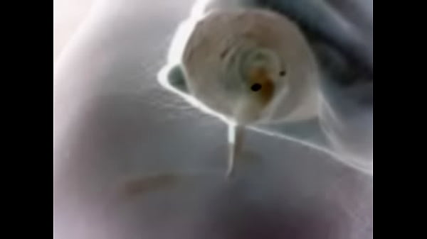 video-2015-02-08-19-26-09  