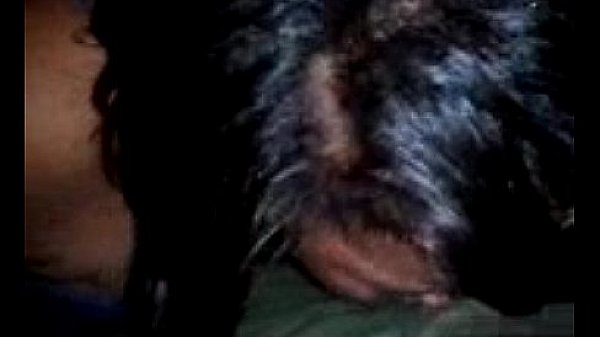 video-2011-11-12-00-20-11  