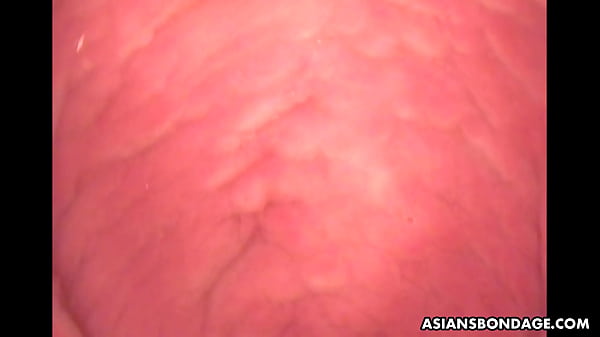 Tied up Asian sweety gets toyed by the camera dildo