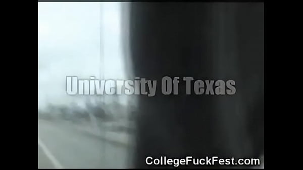 Fuck Fest Live Sexual Activity at Parties 