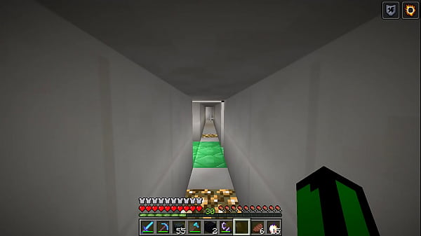 Minecraft L2x9 con mi amigo