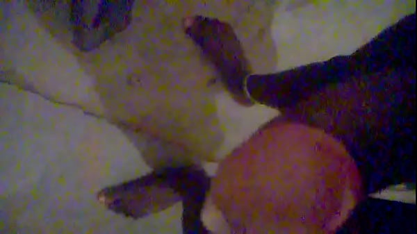 WP 20170915 01 53 05 Pro