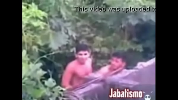 Oper&aacute;rios no mato