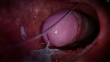 Жёсткий секс с другом в разных позах, анимация из игры