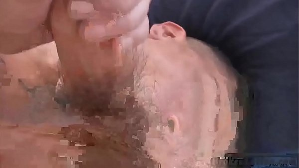 Gay cum gay cubs galleries 