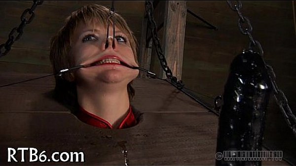 Taming a leather pet 