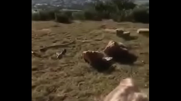 18 year old slut fucked in the mountains public  