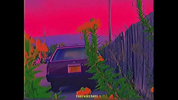 cuco- mi querido. miviejo. miamigo cuca puffs