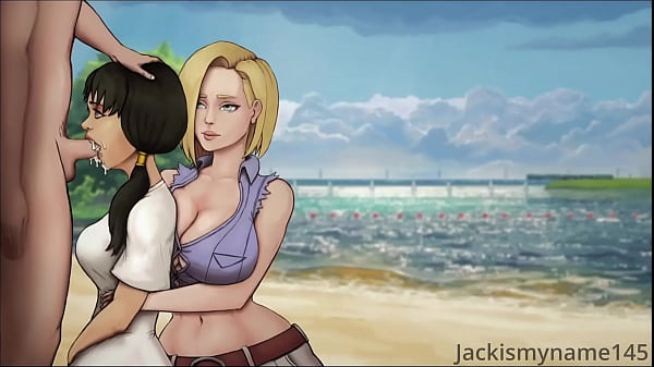 DragonBall Videl and ChiChi