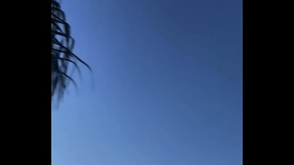 - Update #88 (2023-03-27T21:29:01.000Z)  