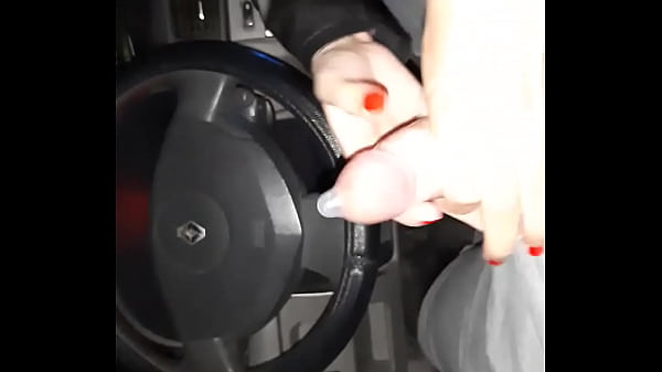 Sexo con el ch&oacute;fer