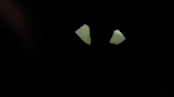 Chocolate stripper said fuck recording just gimme that dick