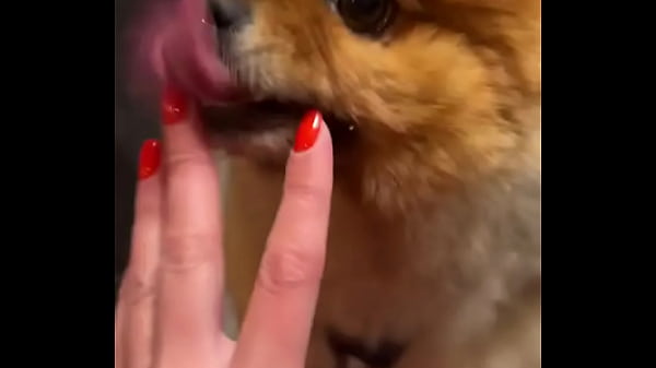 Happy dog️ - Update #190 (2024-12-11T18:43:12.000Z) 