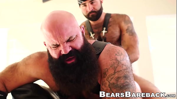 Chubby bear destroyed the bareback way  